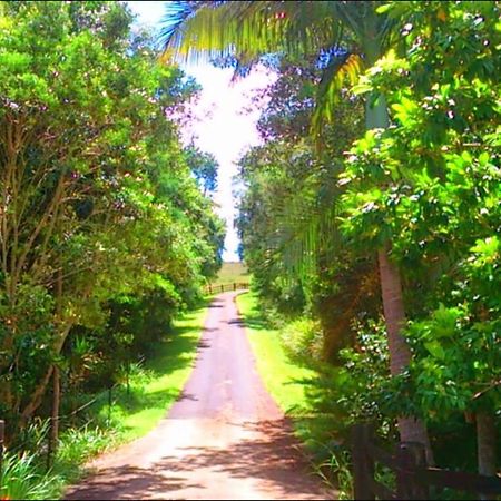 The Barn Villa Bangalow Exterior photo